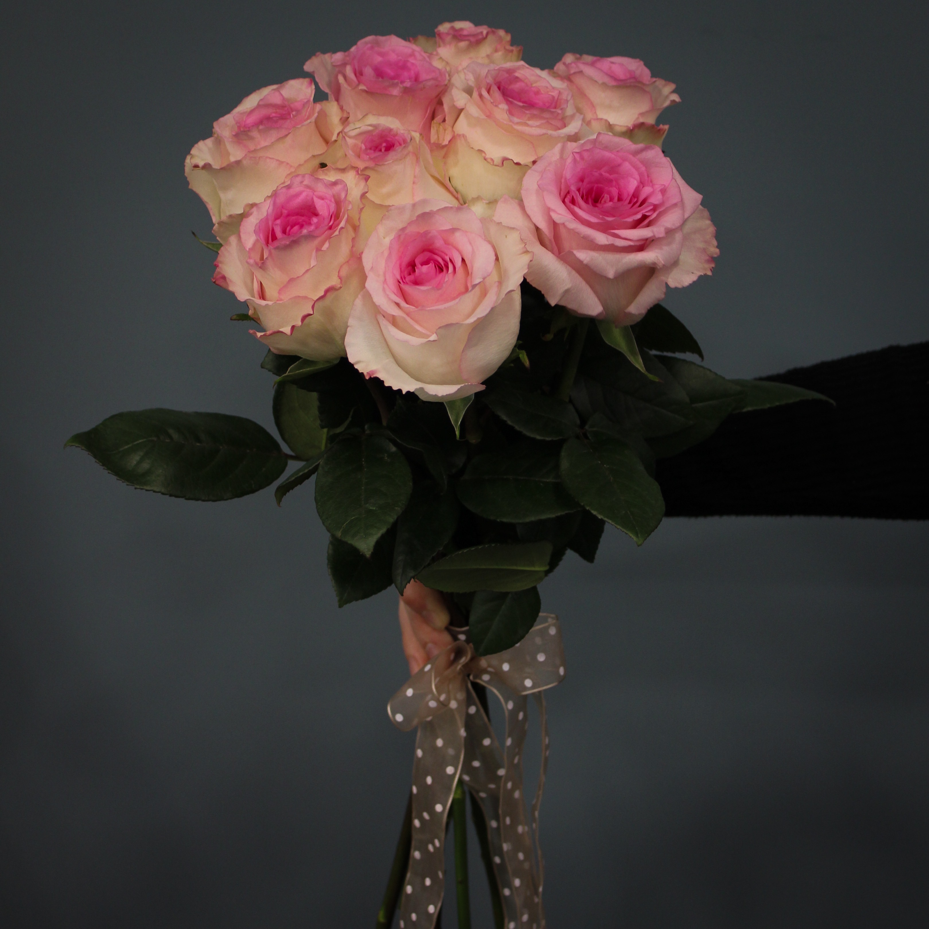 9 бело-розовых роз Эквадор